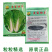 鸡毛菜种子种籽四季小白菜青菜油菜上海青蔬菜菜籽鸡毛菜种子