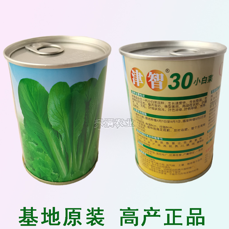 鸡毛菜种子种籽四季小白菜青菜油菜上海青蔬菜菜籽鸡毛菜种子