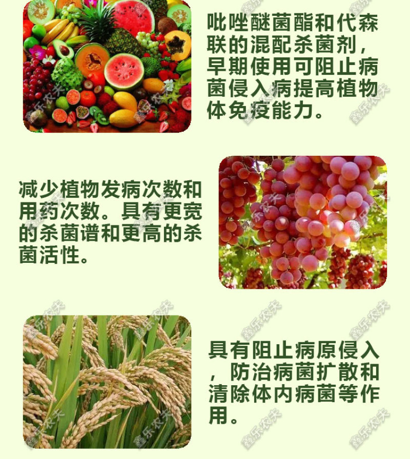 唑醚代森联杀菌剂白粉病疫病霜霉病炭疽病轮纹病大田作物