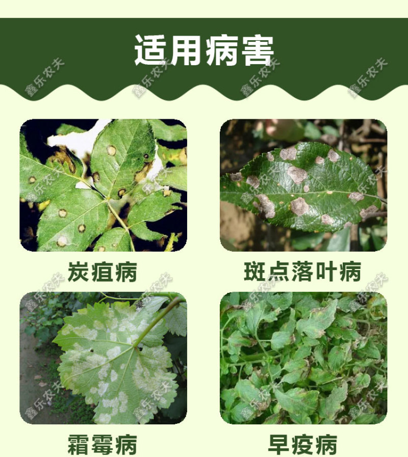 唑醚代森联杀菌剂白粉病疫病霜霉病炭疽病轮纹病大田作物