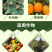 唑醚代森联杀菌剂白粉病疫病霜霉病炭疽病轮纹病大田作物