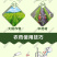 唑醚代森联杀菌剂白粉病疫病霜霉病炭疽病轮纹病大田作物