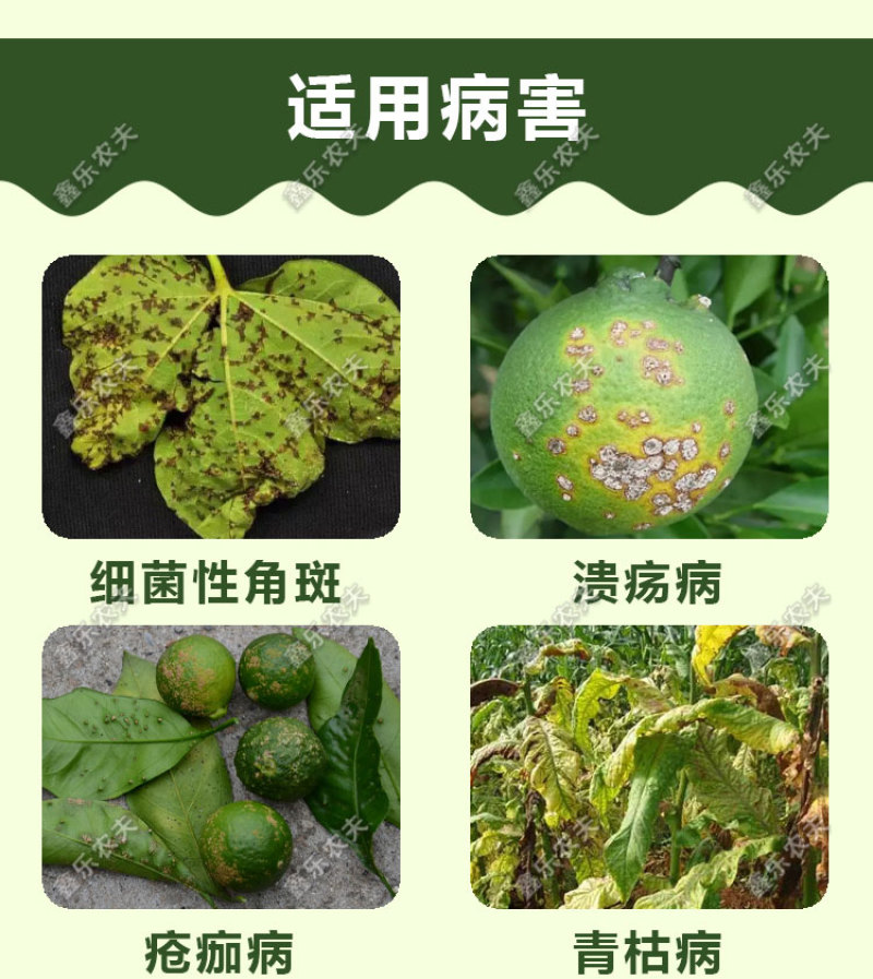 中生菌素细菌农药杀菌剂溃疡病、青枯病、角斑穿孔病