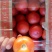西红柿番茄产地大量有货质好价优，欢迎新老顾客光临