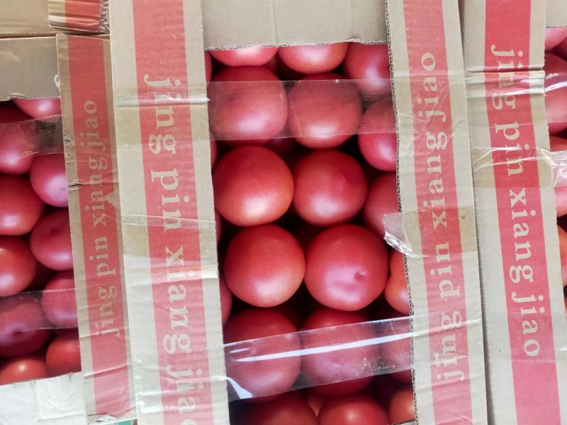 西红柿番茄产地大量有货质好价优，欢迎新老顾客光临