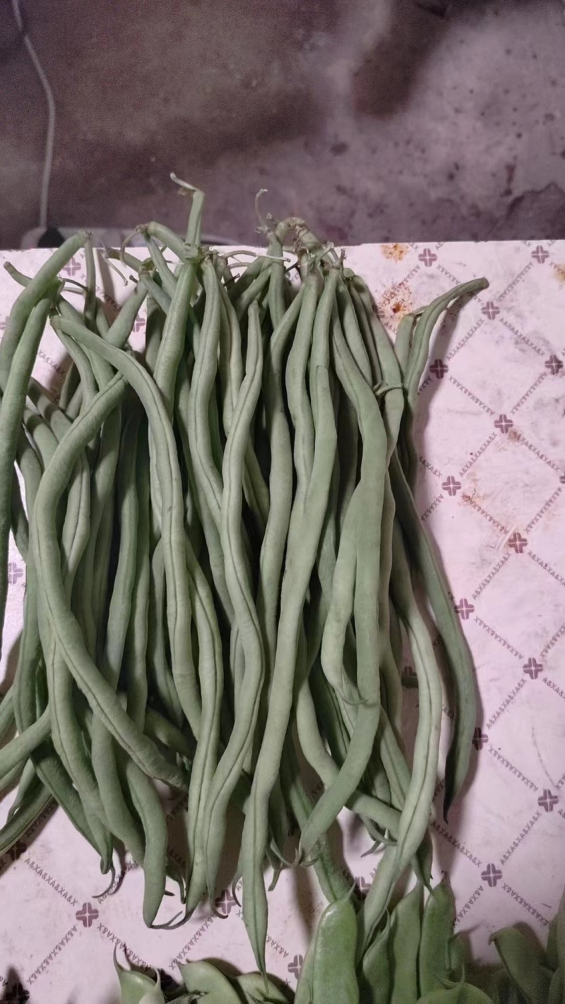云南小金扁豆，无筋豆大量上市，全国代收代发，诚信为本质量保证