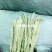 云南小金扁豆，无筋豆大量上市，全国代收代发，诚信为本质量保证