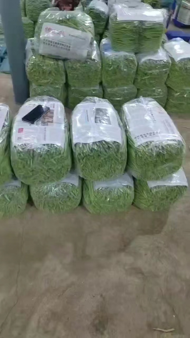 云南小金扁豆，无筋豆大量上市，全国代收代发，诚信为本质量保证