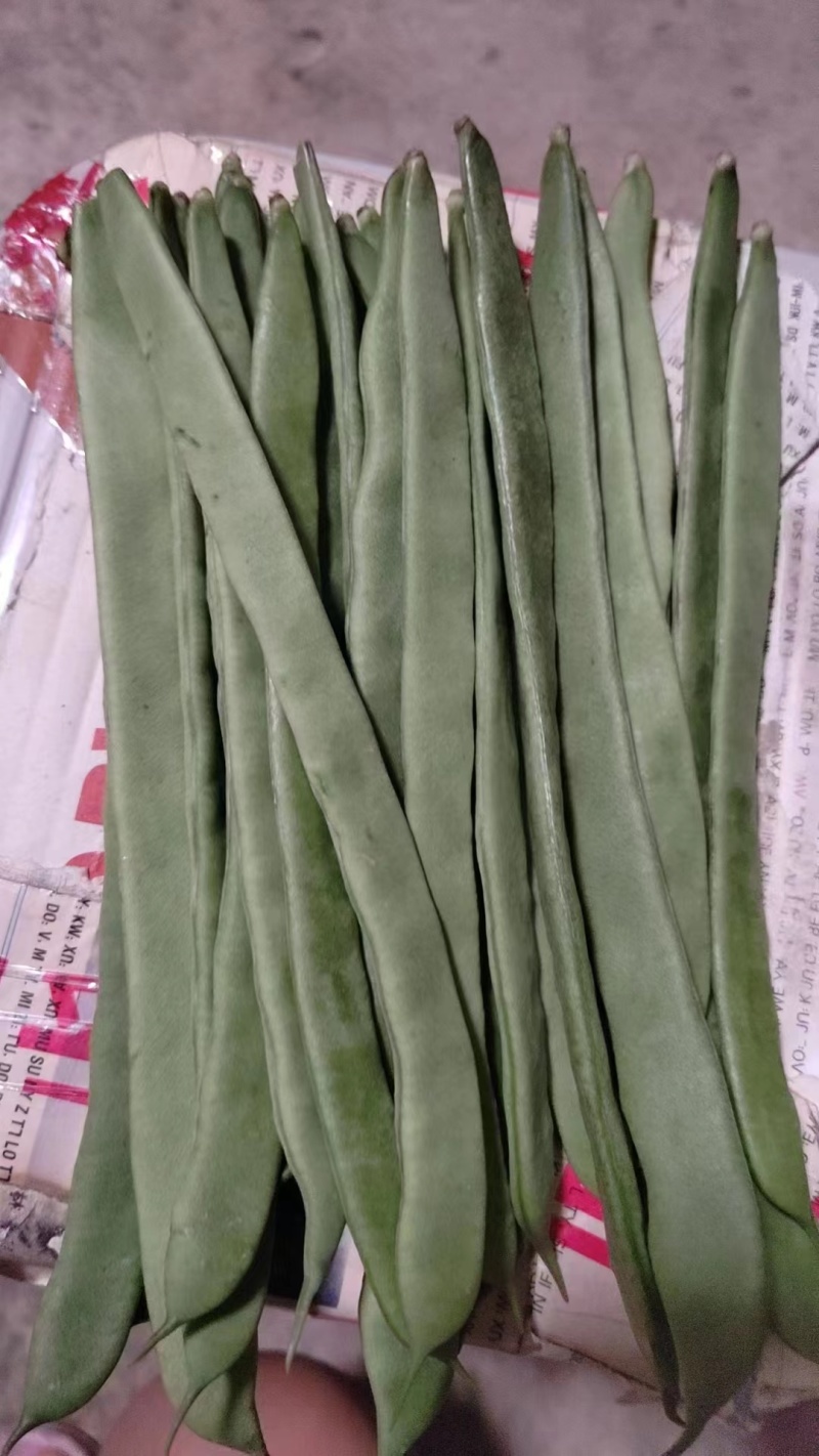 云南小金扁豆，无筋豆大量上市，全国代收代发，诚信为本质量保证