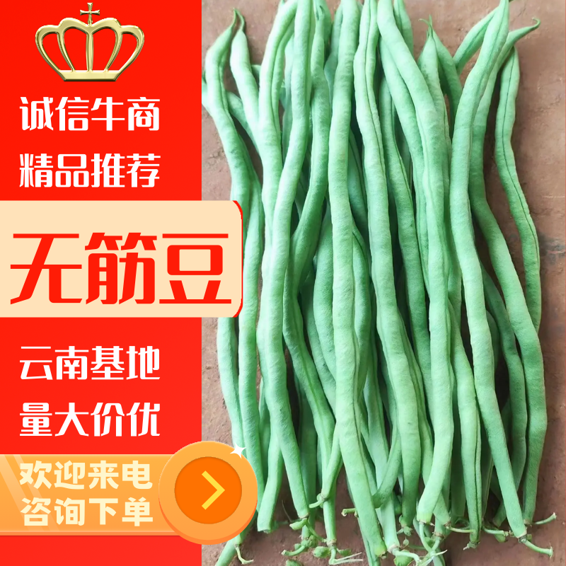 小金豆无筋豆偏豆，云南蔬菜基地大量现货，品质三包