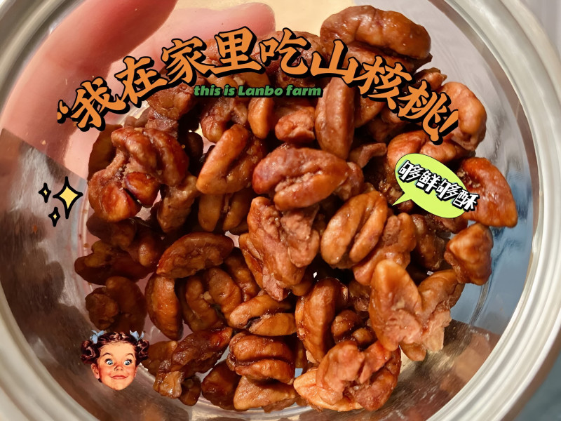 新货临安山核桃仁小核桃仁孕妇原味零食坚果核桃肉