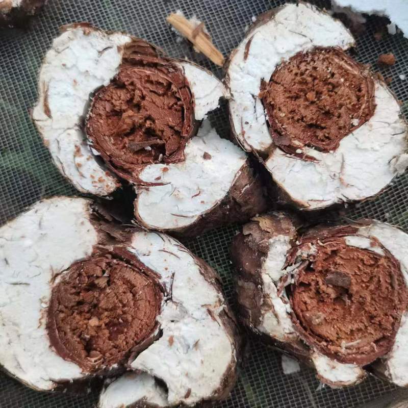 茯苓，白茯苓，赤茯苓，云南当地新货