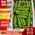 精品泡椒/对接/电商/批发商/大型超市，产地直发。