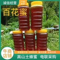 四川高山精品土蜂蜜百花蜜支持一件代发量大从优