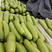 【热卖】绿皮西葫芦新鲜上市货源充足产地直发质量保证