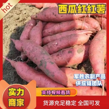 【实力供货】万亩西瓜红蜜薯粉糯香甜表光滑亮可对接电商商超