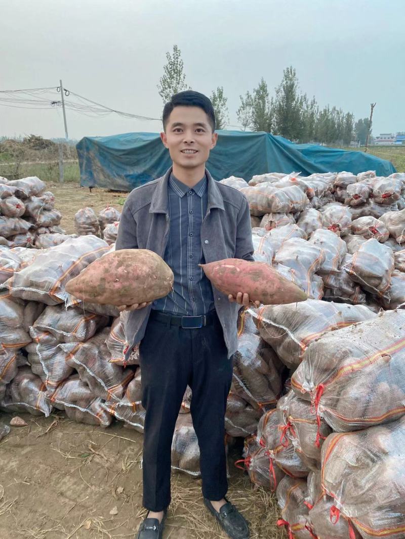 【实力供货】万亩西瓜红蜜薯粉糯香甜表光滑亮可对接电商商超