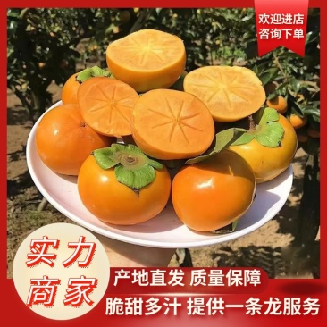 【柿子】陕西阳丰甜柿脆柿巧克力脆柿大量上市现摘现发