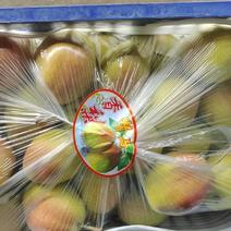 运城红香酥梨大量上市对接全国电商批发商社区团购