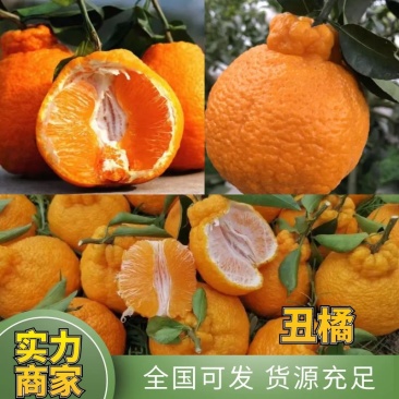 【实力】丑橘味甜汁多专业代办产地直发诚信经营可办理出口