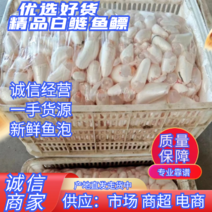 新鲜鱼鳔白鲢鱼泡:火锅食材美味佳肴一手货源欢迎订购。