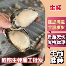 【精品生蚝】大量有货保质保量规格全肉质肥美，欢迎咨询