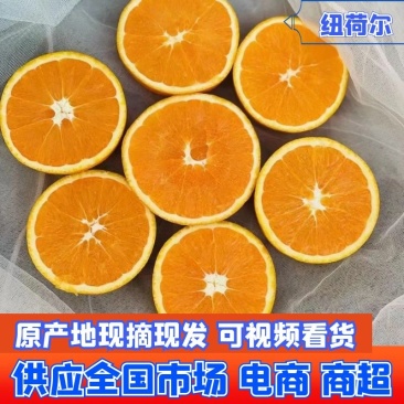 【脐橙】纽荷尔脐橙,秭归脐橙长虹橙子现采现摘产地发货