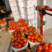 【大红西红柿】山东优质西红柿大量供应对接各大市场电商