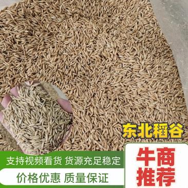 五常稻花香稻谷农户直发精选除杂鲜米机专用