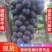 辽宁巨峰葡萄北镇巨峰葡萄，大颗粒巨峰葡萄