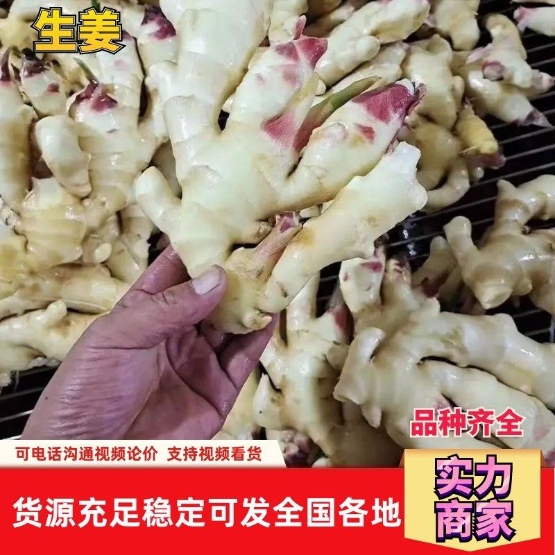 河北生姜老姜批发产地直发（超市，市场，电商，零售）质量保证