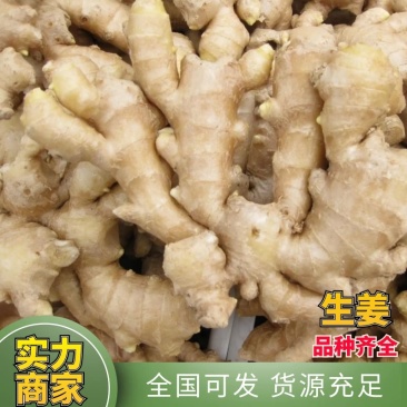 生姜批发大小黄姜产地直发(超市,市场,电商,零售)质量保证