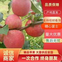 苹果糖心红富士大量上市产地一手货源对接大型批发商