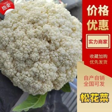精品松花菜开封通许有机花菜大量供应对接商超批发
