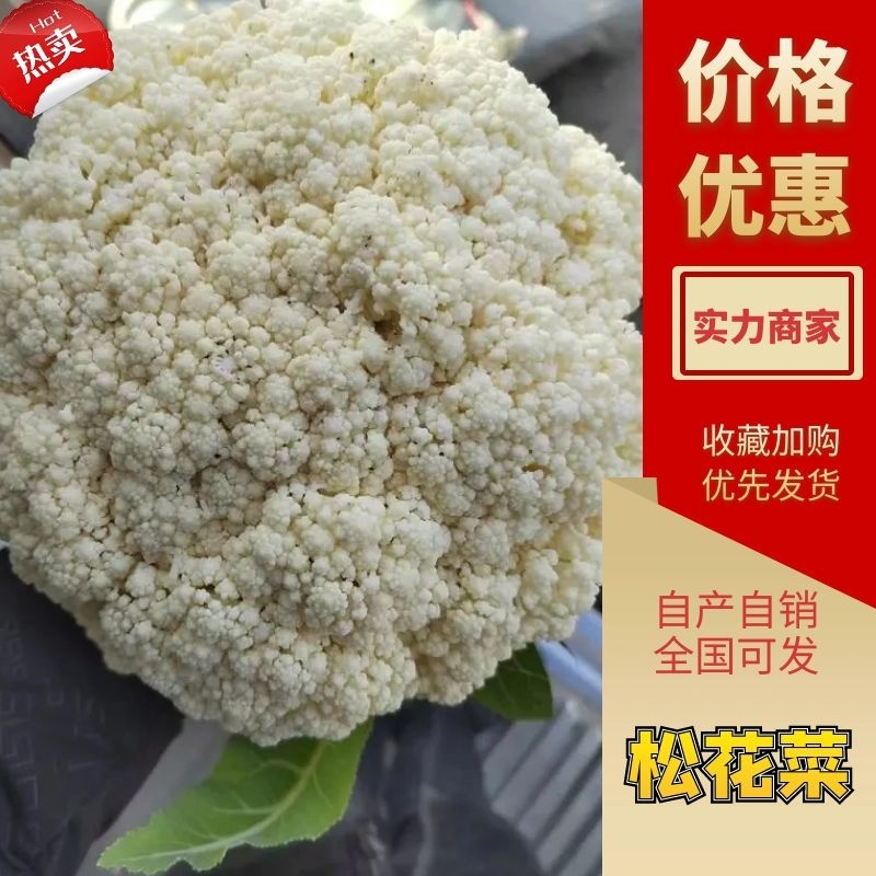 精品松花菜开封通许有机花菜大量供应对接商超批发