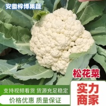 松花菜白面青梗散花小米粒松花菜货源充足代收代发