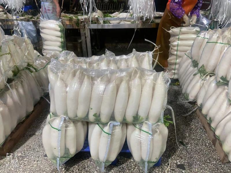 【白萝卜】精品水洗白萝卜大量有货保质保量可视频看货电联
