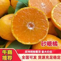 四川砂糖橘大量供应一手货源品质保证可以视频