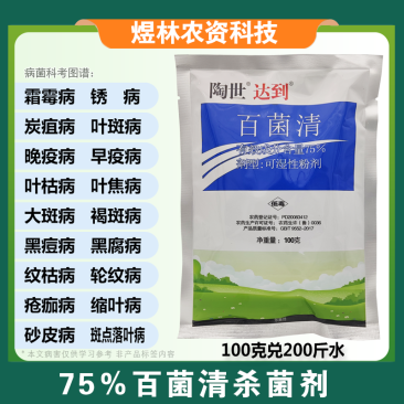 75%蓝色百菌清苹果落叶果树蔬菜花卉白粉炭疽病叶斑病霜