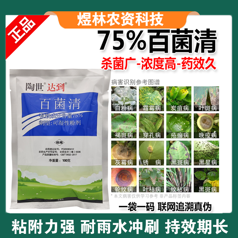 75%蓝色百菌清苹果落叶果树蔬菜花卉白粉炭疽病叶斑病霜