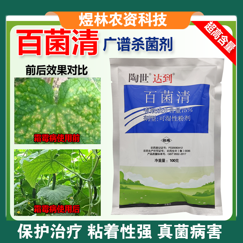 75%蓝色百菌清苹果落叶果树蔬菜花卉白粉炭疽病叶斑病霜