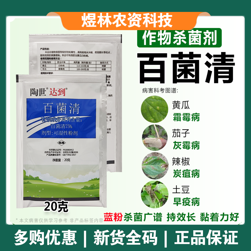 75%蓝色百菌清苹果落叶果树蔬菜花卉白粉炭疽病叶斑病霜