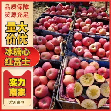 实力甘肃靖远县冰糖心红富士个大汁多大量有货量大价优欢迎来看货