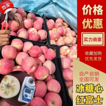 甘肃靖远冰糖心红富士苹果个大汁多大量有货量大价优欢迎来看货