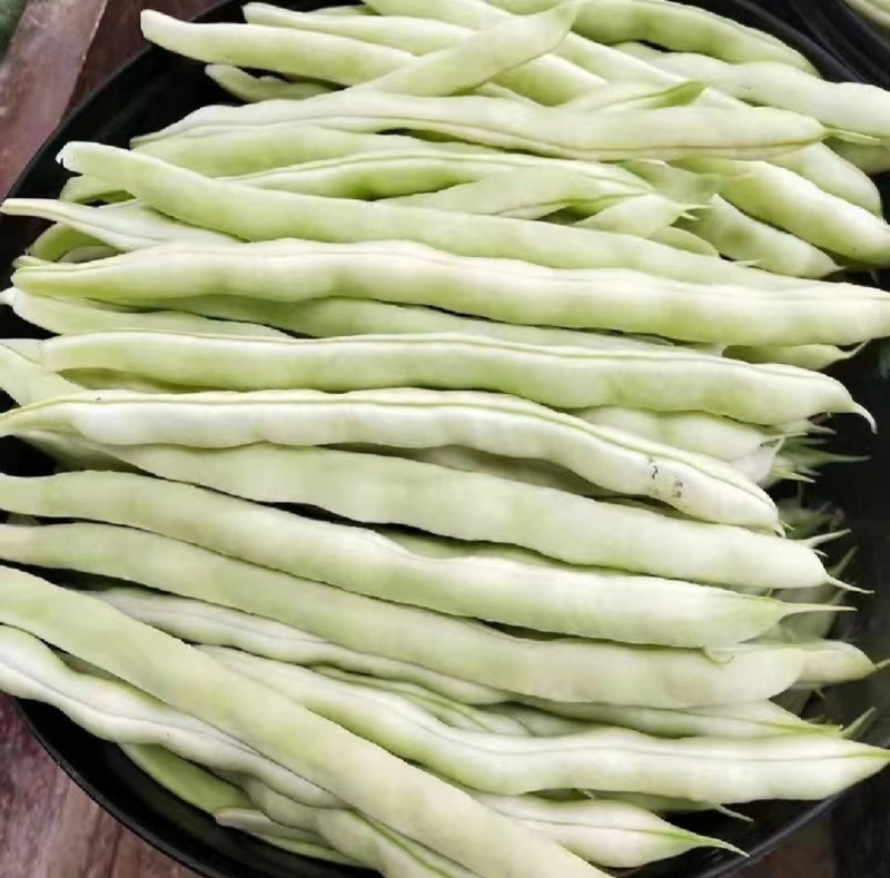 优选白大架白豆产地直发保质保量货量充足全国发货