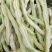 优选白大架白豆产地直发保质保量货量充足全国发货