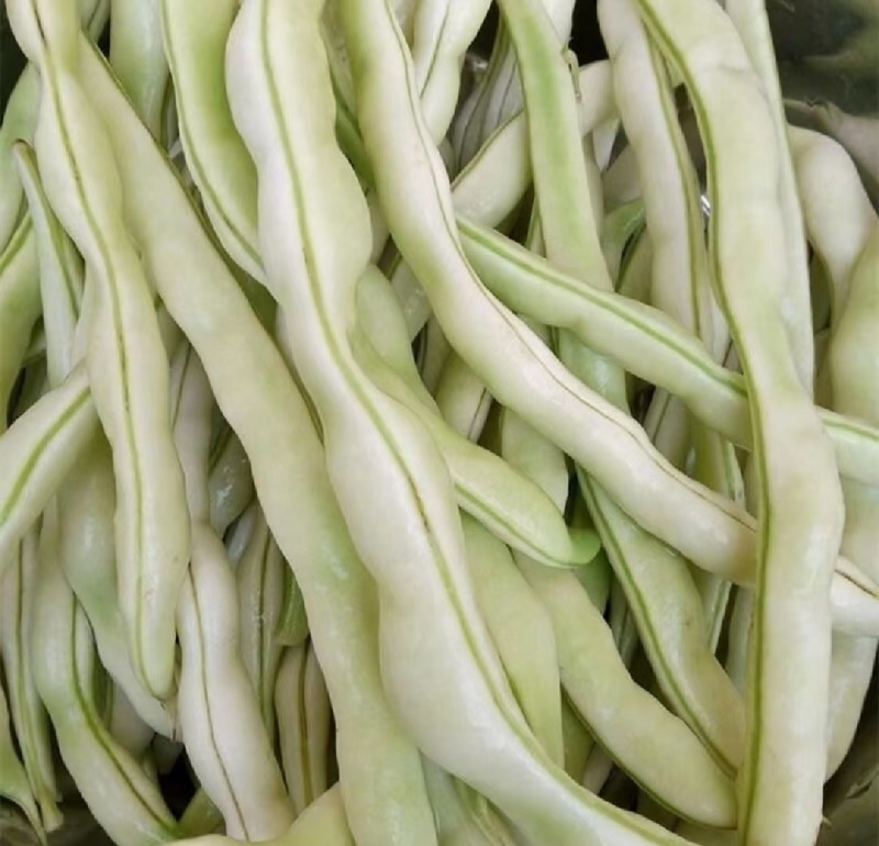 优选白大架白豆产地直发保质保量货量充足全国发货