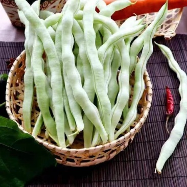 优选白大架白豆产地直发保质保量货量充足全国发货