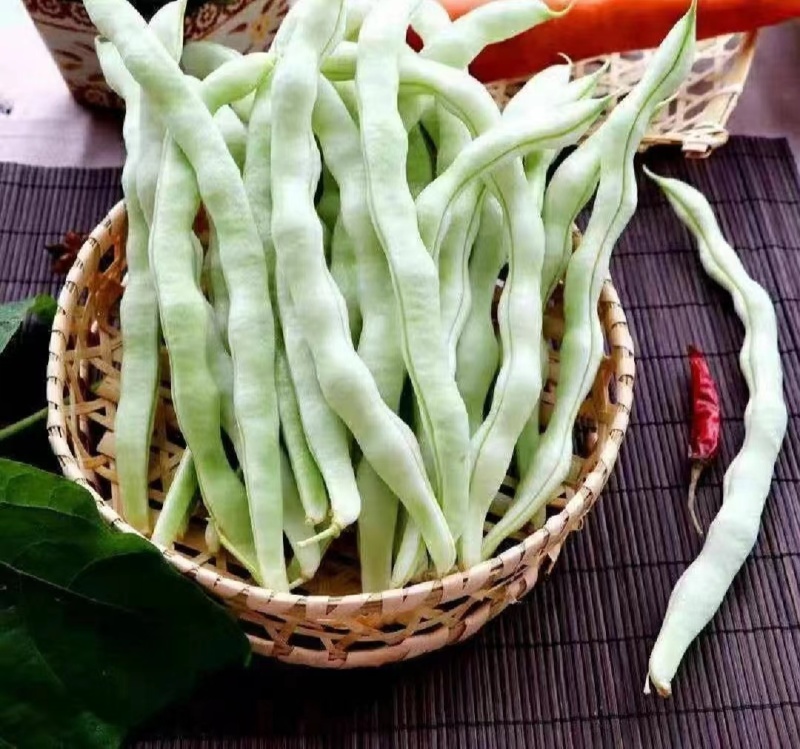优选白大架白豆产地直发保质保量货量充足全国发货