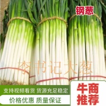 【推荐】干葱大葱钢葱毛葱产地直发货源充足产地直供